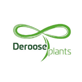 Deroose Plants Detail Logo