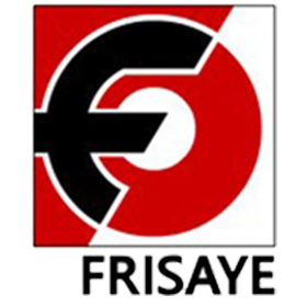 Frisaye Detail Logo