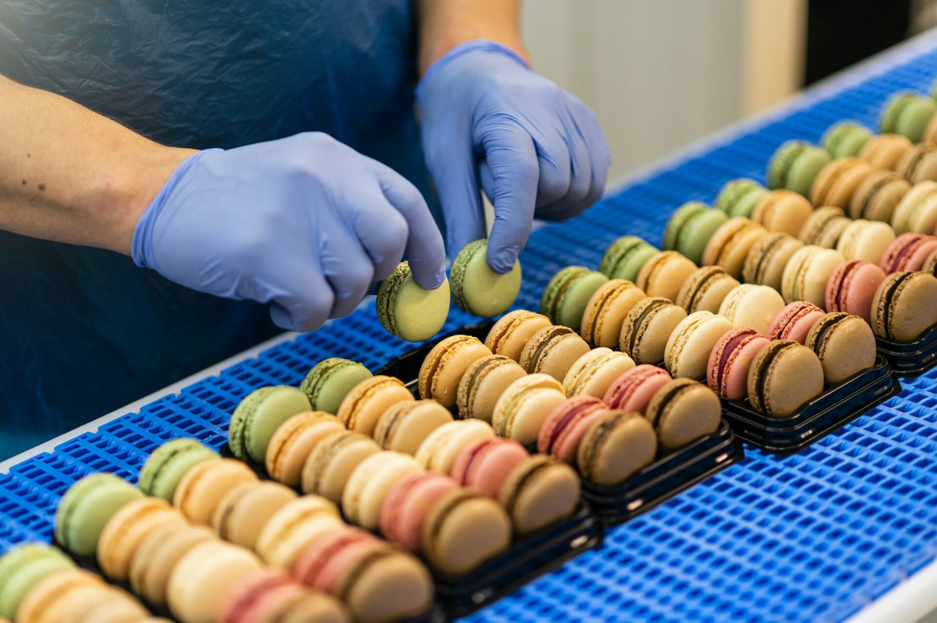 Opérateur en gants disposant des macarons colorés sur une ligne de production chez PM Sweet