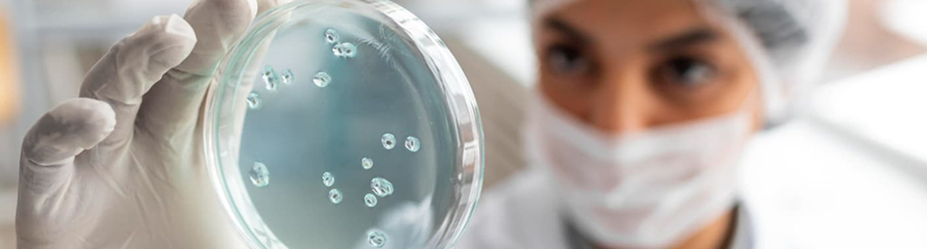 Catalent Detail Banner