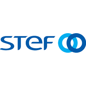 STEF Detail Logo